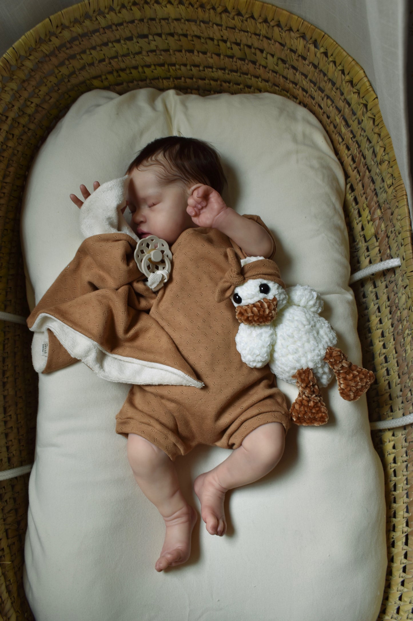 Set regalo simple CAMEL